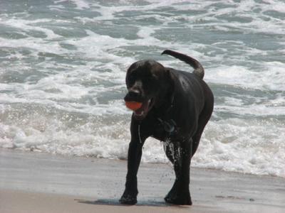 On vacation at the Beach