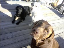 our kids