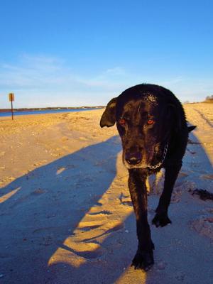 Sandy day at the beach!