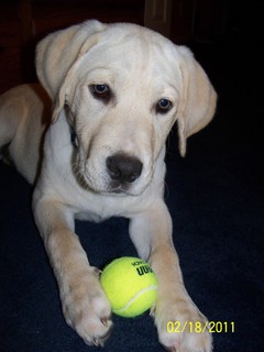 He loves his ball