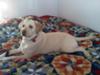 Gracie 15 mo