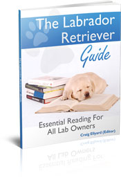 labrador retriever ebook