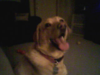 Ginger Smiling