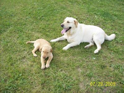 Tucker & Jessica
