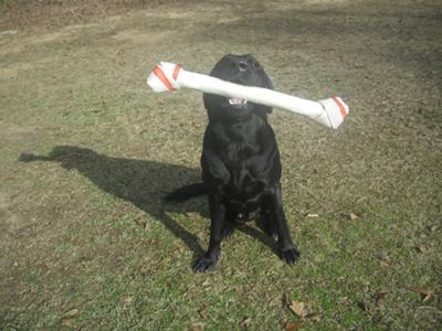 remington with his christmas present.