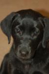 Lily 7-19-2011