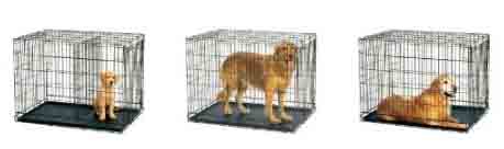 choosing dog crates for your canine friends what size dog crate for a lab